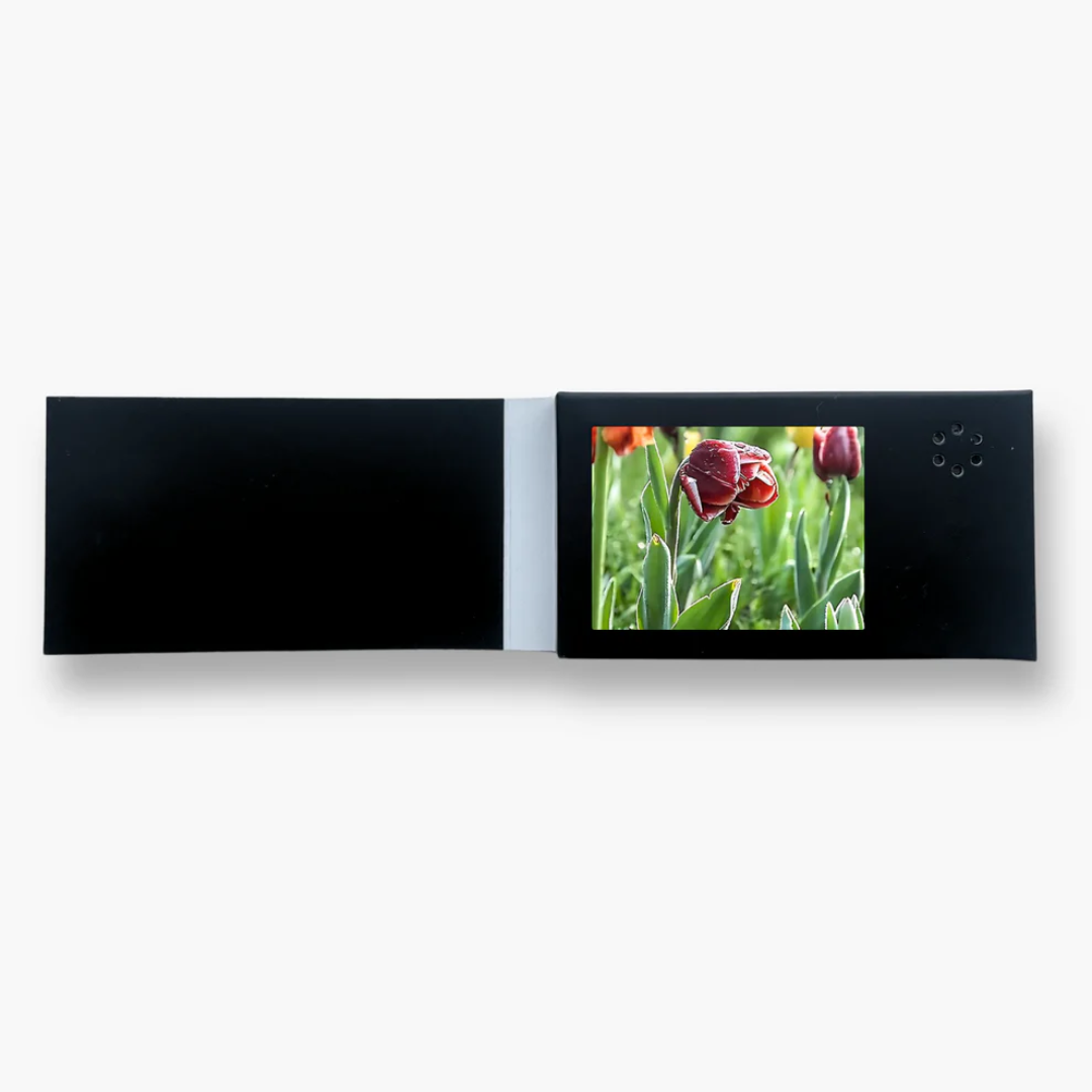 Video Card Gift