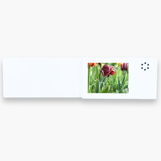 Video Card Gift
